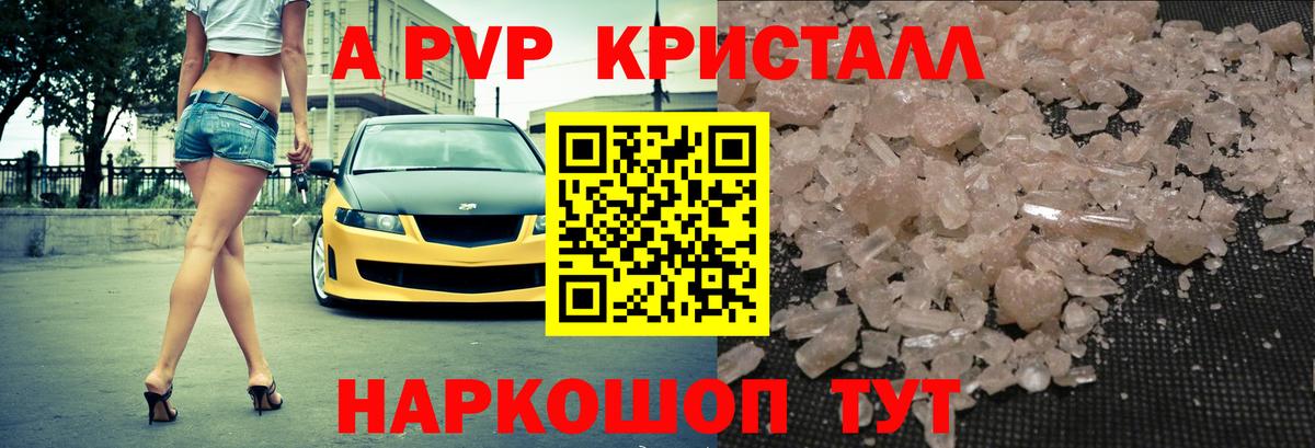 где продают наркотики  Alpha-PVP Соль  А ПВП крисы CK  Альфа ПВП  Вход с VPN  Черногорск 