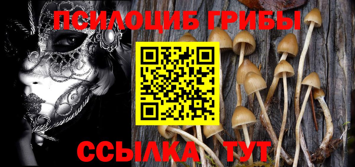 Галлюциногенные грибы прущие грибы Черногорск