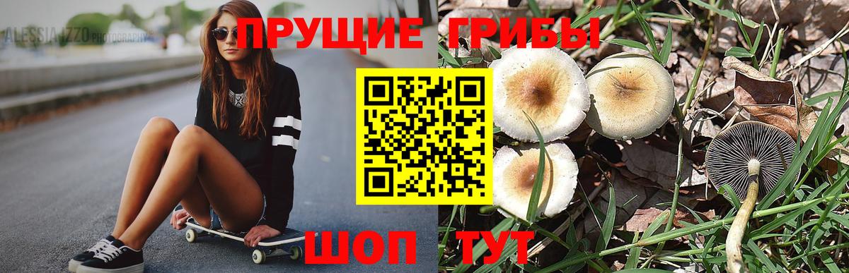 Черногорск  Псилоцибиновые грибы GOLDEN TEACHER  Вход с VPN 
