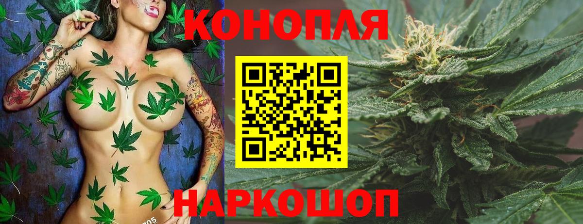 Марихуана марихуана Черногорск